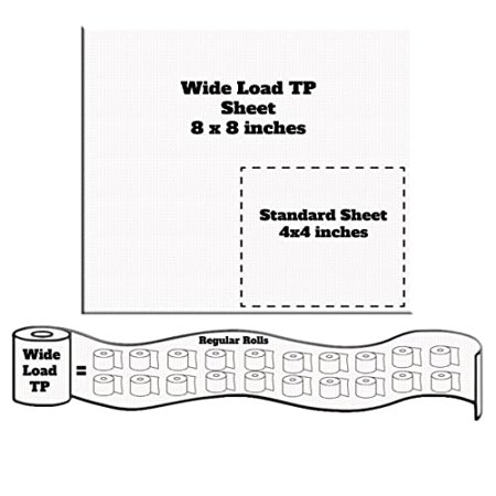 TP 8 inch x 8 inch toilet paper 500 ft roll (2 pack) Box
