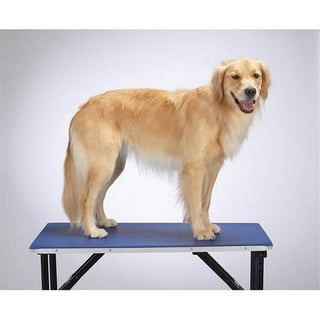 Top Performance PVC and Foam Pet Groomer's Table Mat Blue 24x48 Inch