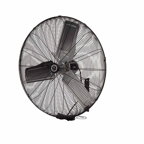 TPI Corporation 30" 3-Speed Single-Phase Wall Mount Commercial Circulator Fan