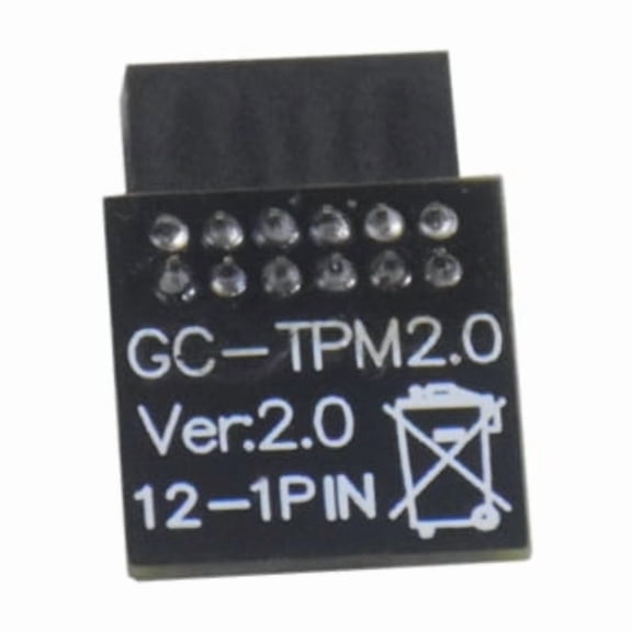 TPM 2.0 Security Module for Gigabyte GC TPM20 Motherboard 12Pin Module to Win 11 Upgrade for TPM2.0