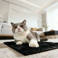 thumbnail image 1 of TPR Cat Scratch Pad, Durable Textured Scratching Mat for Nail Care and Skin Rubbing, Interlocking Cat Toy for Home Use, 9.7 x 7.1 Inch, 1 of 3