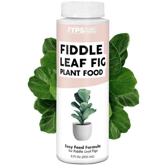 Fiddle Leaf Fig Plant Food for All Fig and Other Ficus Trees, Liquid Houseplant Fertilizer 8 oz (250mL)
