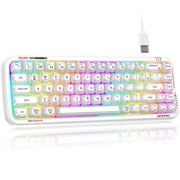 TProud 68-Key Wireless Keyboard, Bluetooth 2.4G and Wired, RGB Compact Keyboard for PC, Laptop, Work and Gaming