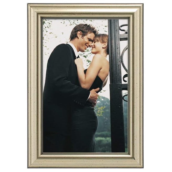 TRADITIONS Silver 5x7 Picture frame by Malden - 5x7