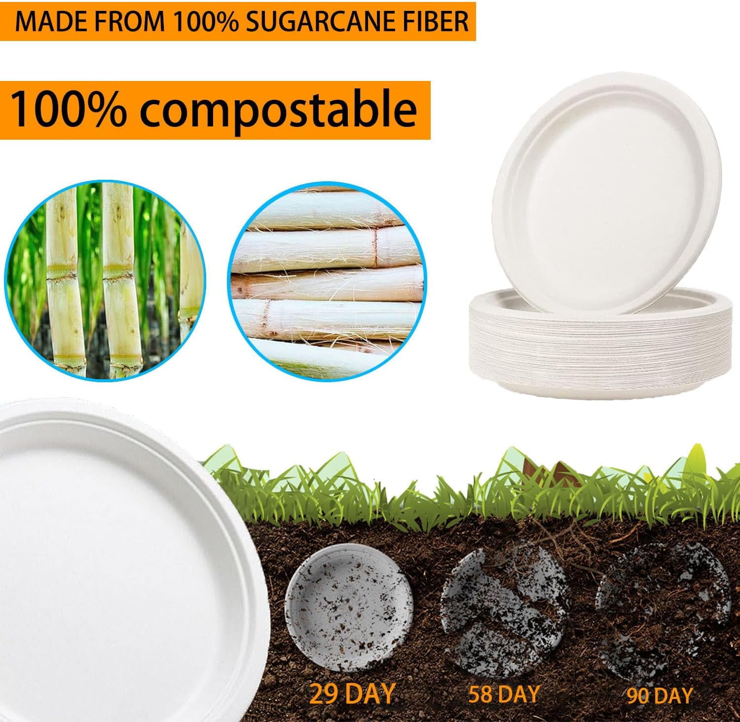 TRAHOO100 Pack Paper Plates 6 inch 100 Compostable Paper Plates