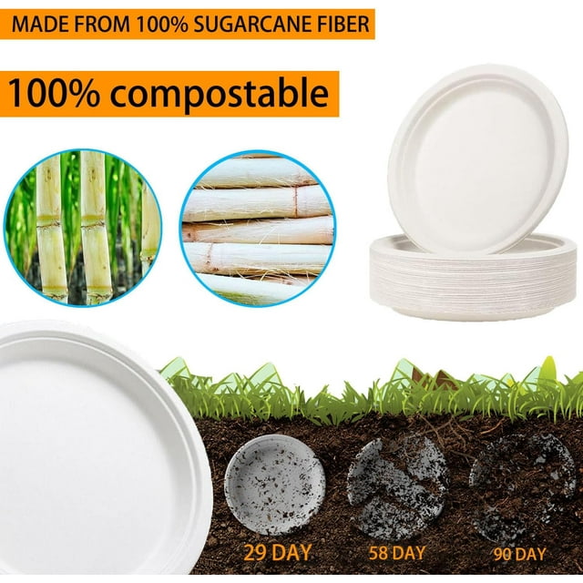 TRAHOO100 Pack Paper Plates 6 inch 100 Compostable Paper Plates