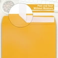 TRAHOO10x13 Catalog Envelopes Self Seal 100 Pack, 100GSM Paper Yellow