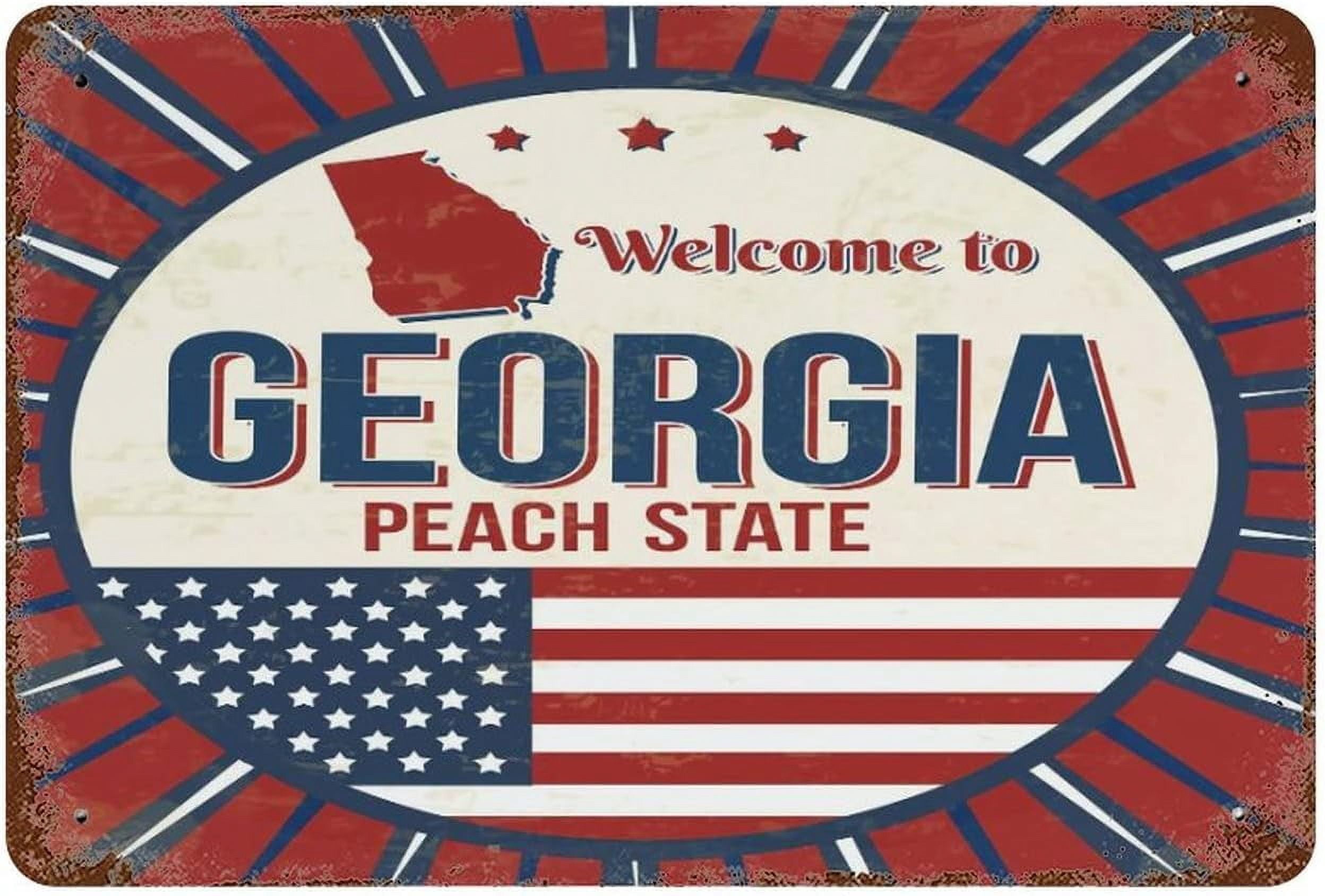 TRAHOO-20*30CM-Wall Decoration Tin Sign Welcome To Georgia Vintage ...