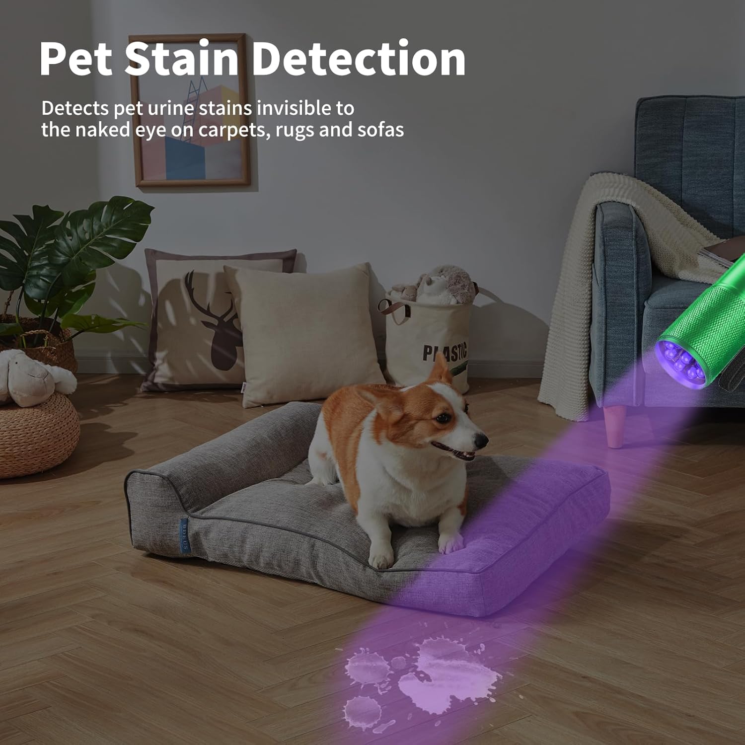 TRAHOO5 Pack Black Light UV Flashlight, 9 LED 395nm Ultraviolet