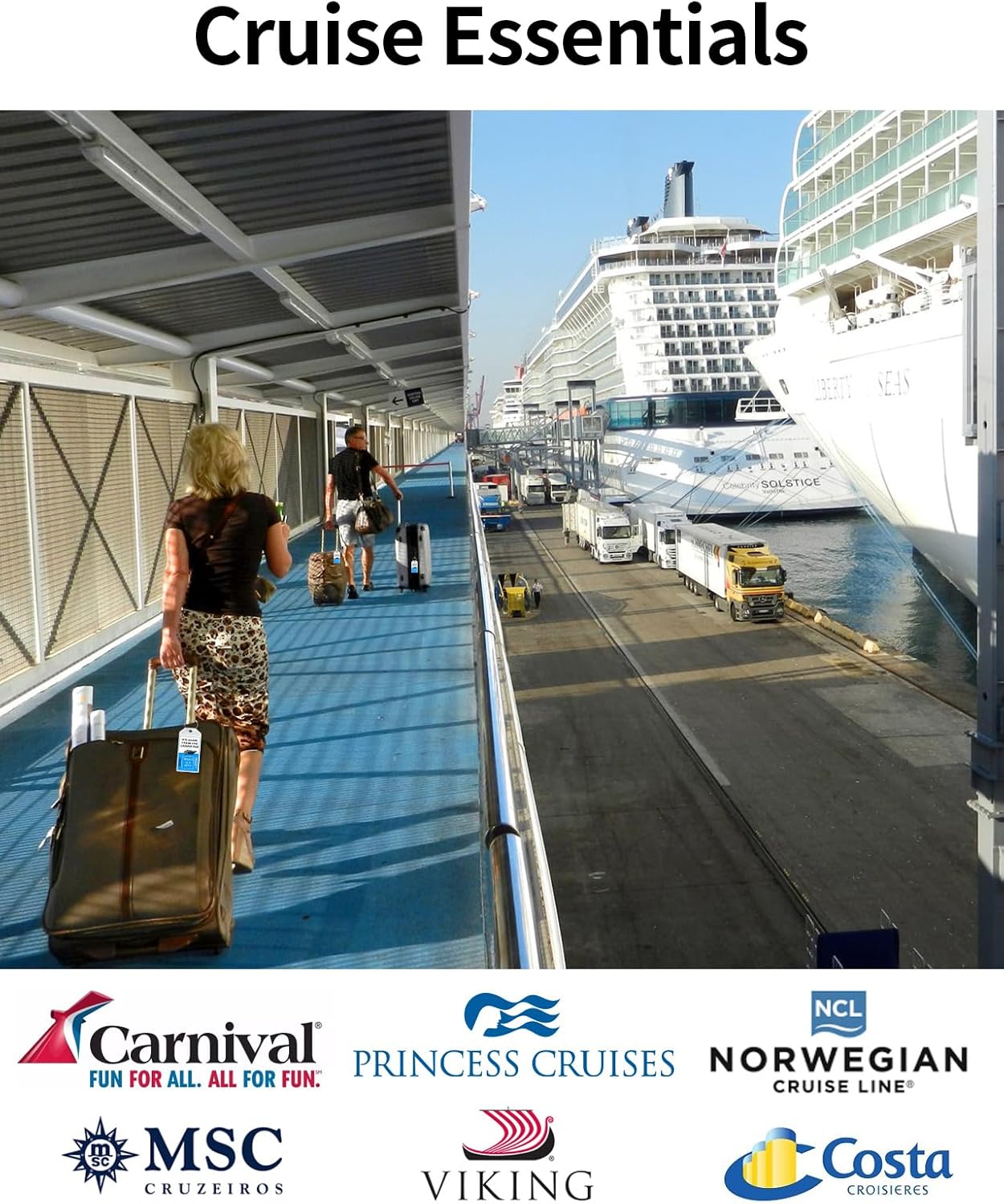 TRAHOO6 Pack Cruise Luggage Tags, Cruise Lanyard for Carnival, NCL