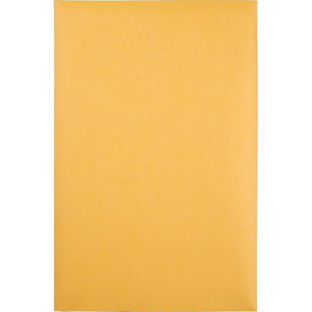 TRAHOOCatalog Mailing Envelopes, 6 x 9 Envelopes, Gummed, Heavy 28 lb