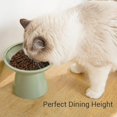 TRAHOOExtra Wide Elevated Cat Bowls Ceramic Cat Food Bowl 6.2