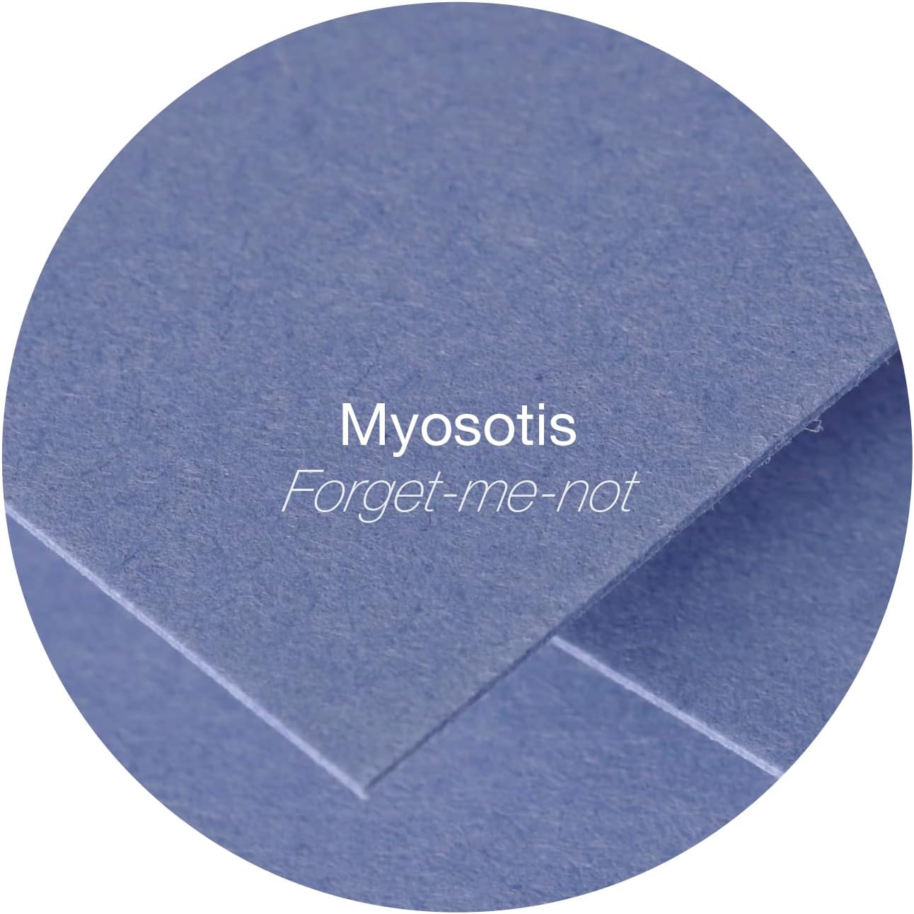 TRAHOO Ref 5192C Pollen Envelopes (Pack of 20) C5 Sized, 120gsm