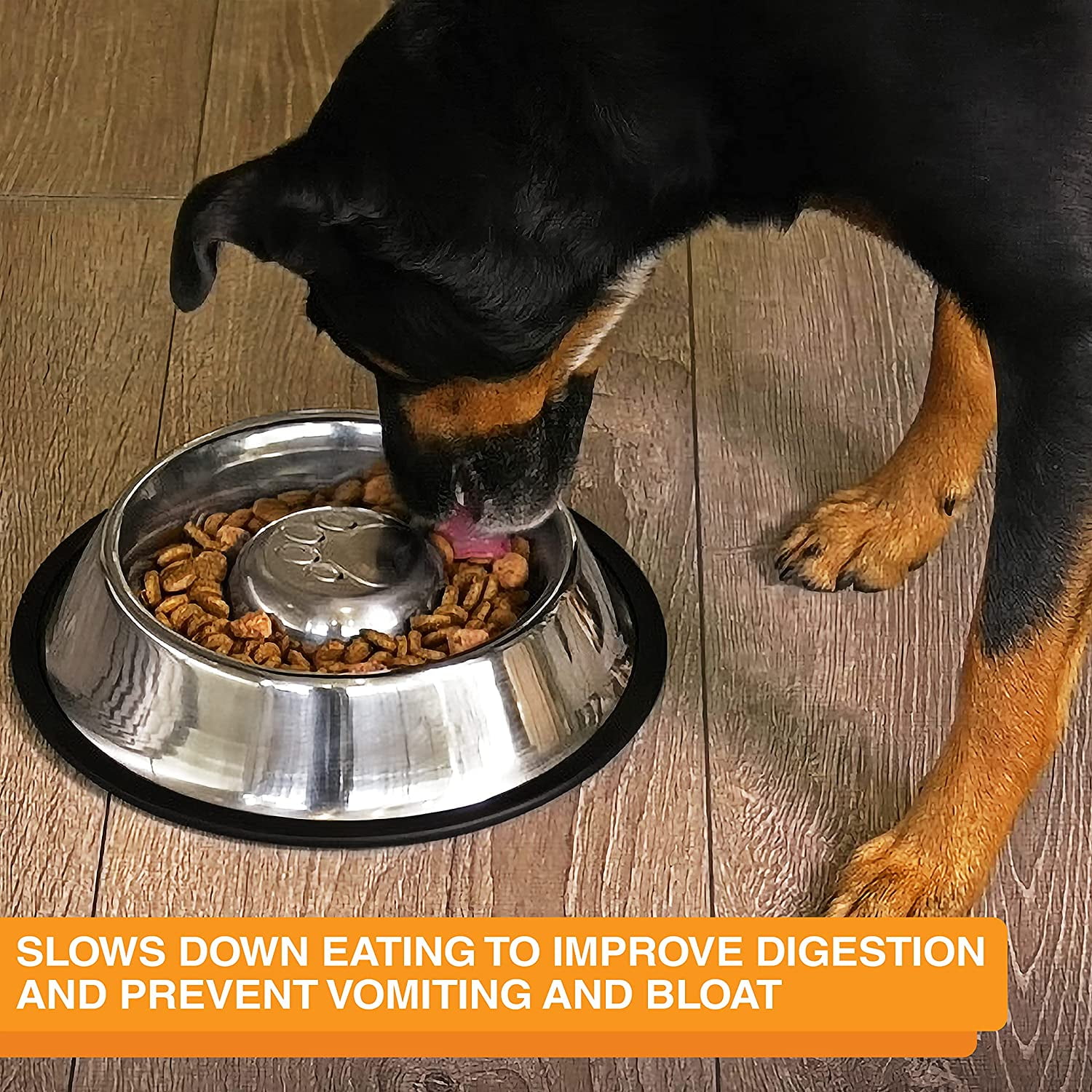 TRAHOOStainless Steel Slow Feed Bowl NonTip & NonSkid Stops Dog