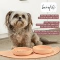 TRAHOOThe Perfect Dish Durable Dog Water Bowl No Spill Less Mess