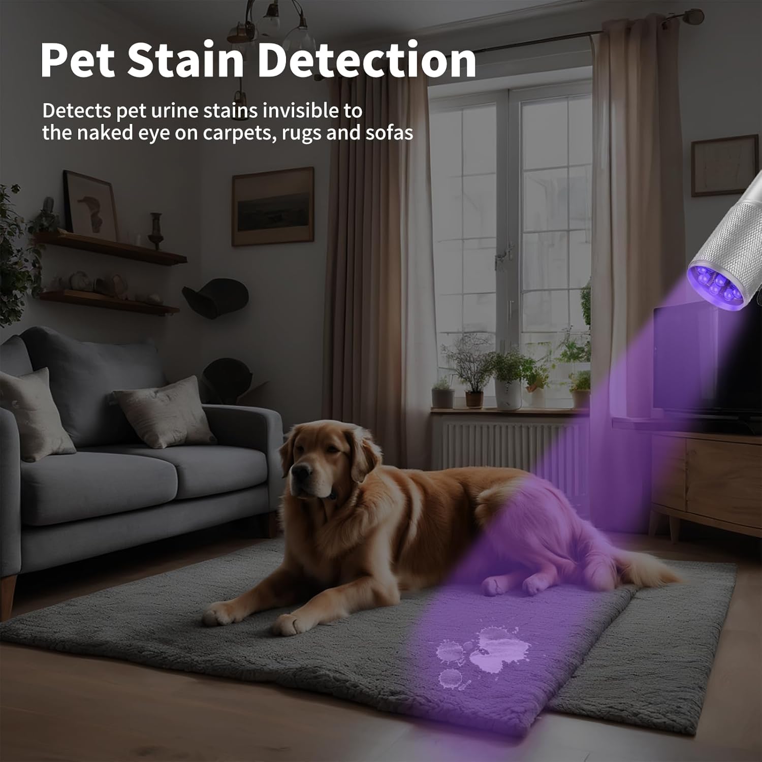 TRAHOOUV Flashlight Black Light UV Lights, 5 Pack 9 LED 395nm