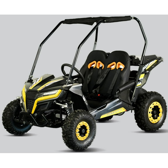 TrailMaster Cheetah 6 Youth Go-Kart - 163cc 5.5HP Engine, 4-Point Safety Belt, Remote Kill,