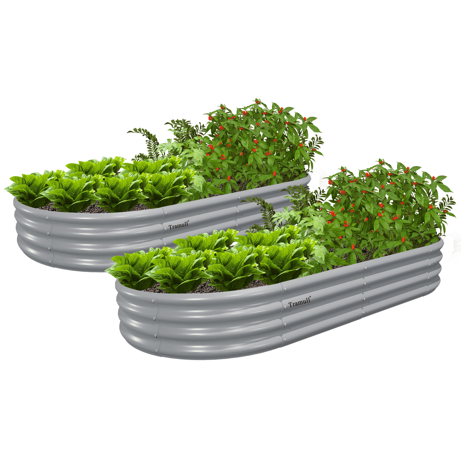 TRAMULL Galvanized Raised Garden Bed Kit with Rust Resistance, 2 Pack, 6x3x1FT, Gray, 34.6 lbs