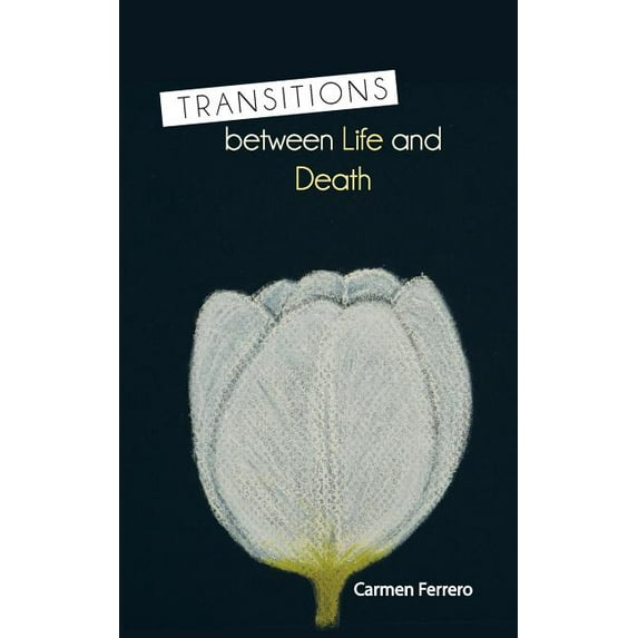 Transitions Between Life and Death (Paperback)
