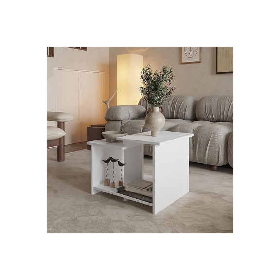 TREEVOL FURNITURE Sedalia Coffe table