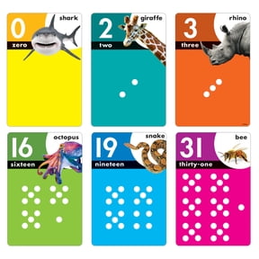 TREND Animals Count 0-31 Learning Set