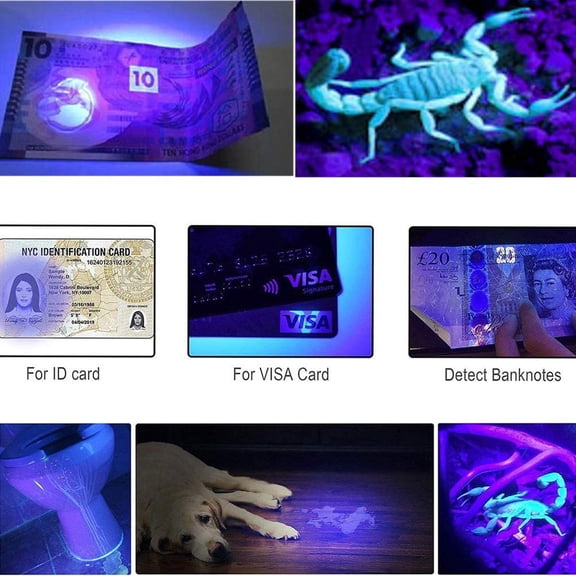 TRHOO-Black Light UV Flashlight LED 7w 300lm SK68 Zoomable Ultraviolet Blue Light Torch for Scorpions Dog Cat Pet Urine Detector Fluorescent Minerals