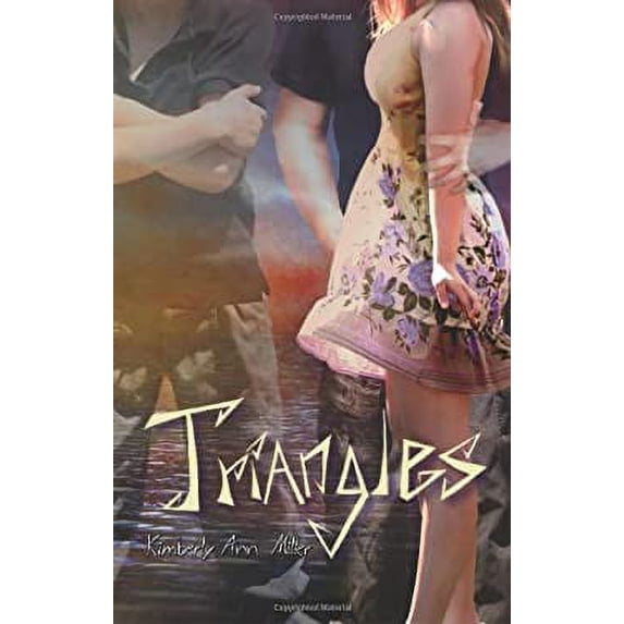 Pre-Owned Triangles (Paperback) 1937053369 9781937053369