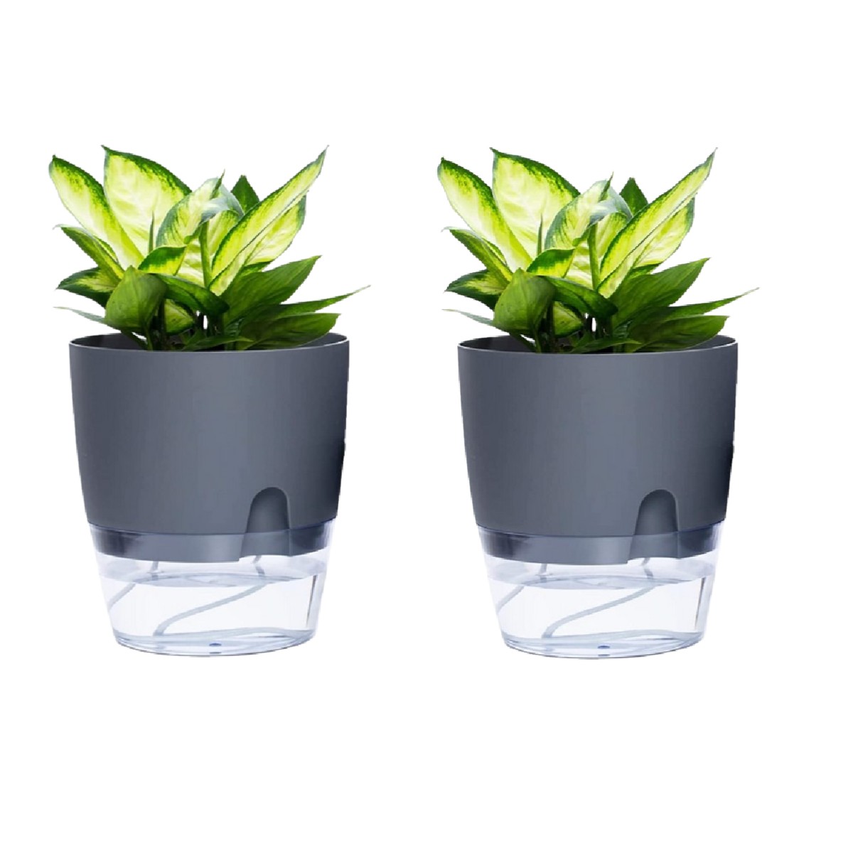 TRIANU 2 Pack Self Watering Planter Pots for Indoor Plants, 6 in ...