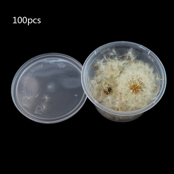 TRINGKY Natural Dandelion Seed Dried Pressed Floral Decorative Scrapbook Stickers Flowers Plant Series Decals for Laptop