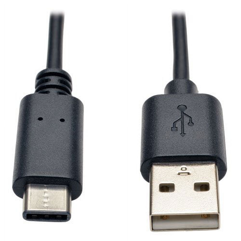 TRIPP LITE USB 2.0 Hi-Speed Cable A Male to USB Type-C Male 6' (U038-006) - image 1 of 1