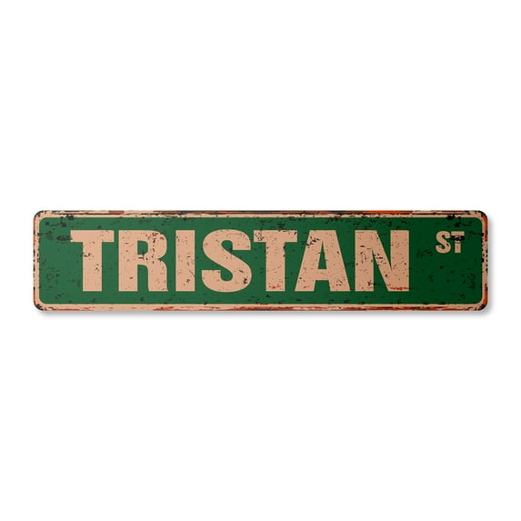 TRISTAN Vintage Plastic Street Sign Childrens Name Room Sign | Indoor/Outdoor | 30" Wide