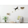 thumbnail image 1 of TRIXIE Eden Wall Mount Cat Tree Set, 2 Condos with 3 Steps, Cat Furniture, Scratching Post, Brown, 1 of 5