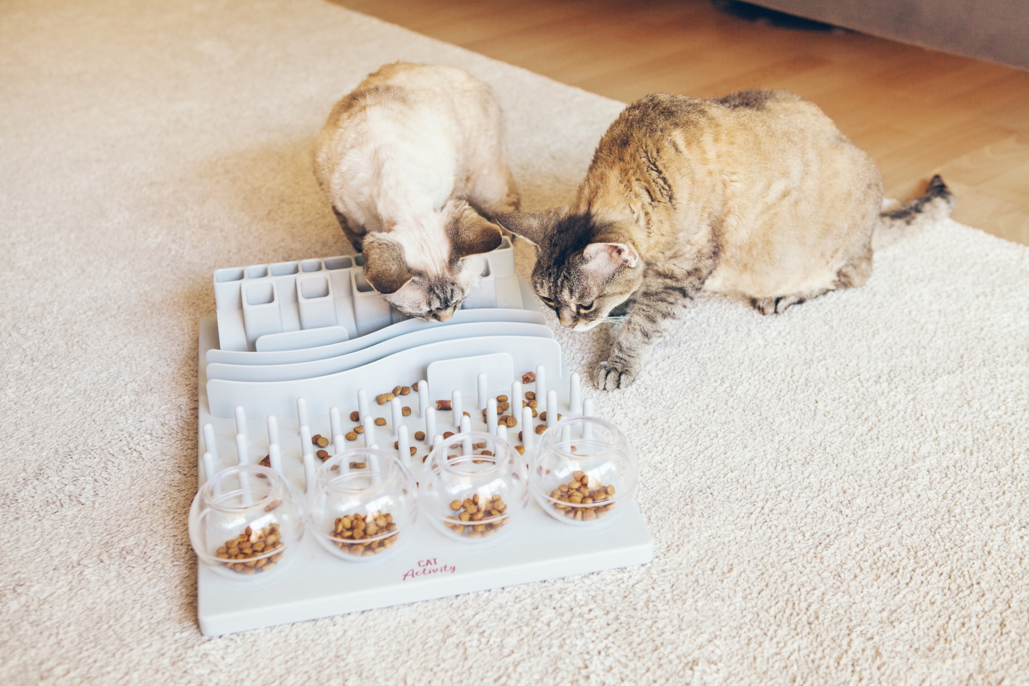 https://i5.walmartimages.com/seo/TRIXIE-Fun-Board-Strategy-Game-for-Cats-Puzzle-Toy-Treat-Dispenser-Interactive-Play-White_aa1f6551-6161-4878-8617-a52eab484a0d.6c87c24c9b88fcc91c55f231527237cf.jpeg