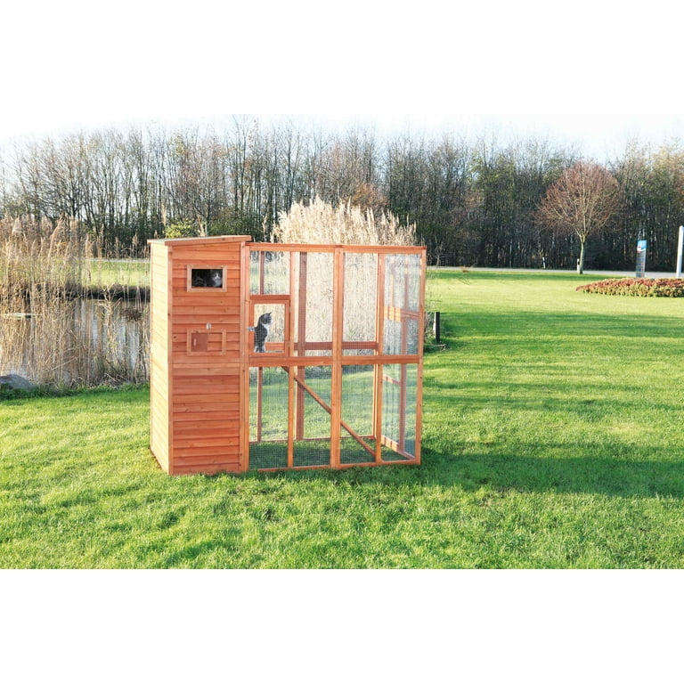 Cattery enclosures top