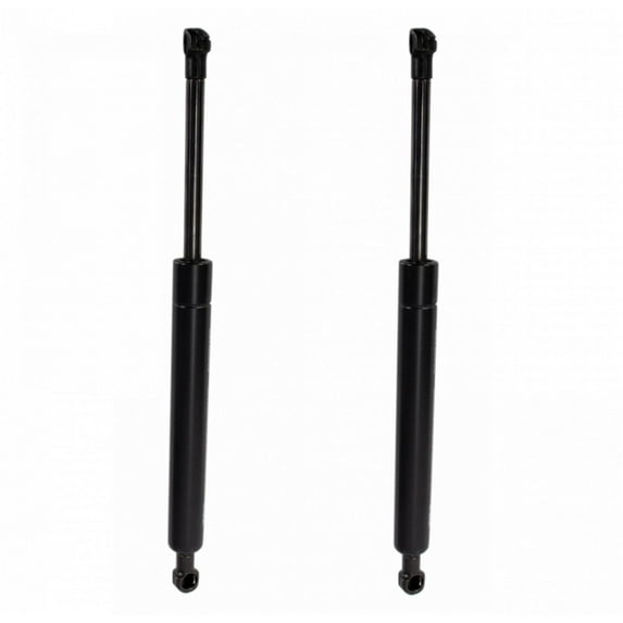 TRQ Rear Trunk Lift Support Shock Strut Set of 2 For 2001-2006 Lexus LS430 GSA08919