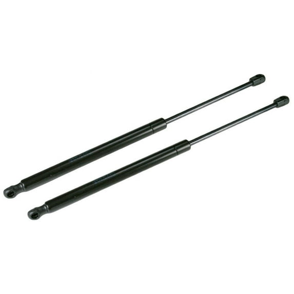 TRQ Tailgate Lift Supports Struts Pair Set for GMC Isuzu Buick Chevy Olds GSA06788 Fits select: 2002-2008 CHEVROLET TRAILBLAZER, 2002-2008 GMC ENVOY