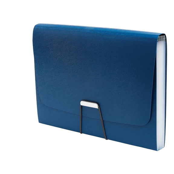 Staples TRU RED Moisture Resistant Reinforced Plastic Filing Accordion File 13-Pocket Letter Size