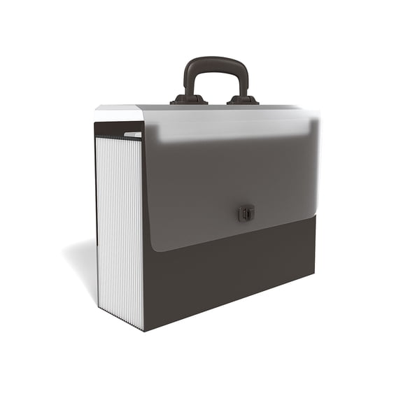 Staples TRU RED Office Pro Accordion File 26-Pocket Letter Size Black 2/Pack TR51836/51836VS