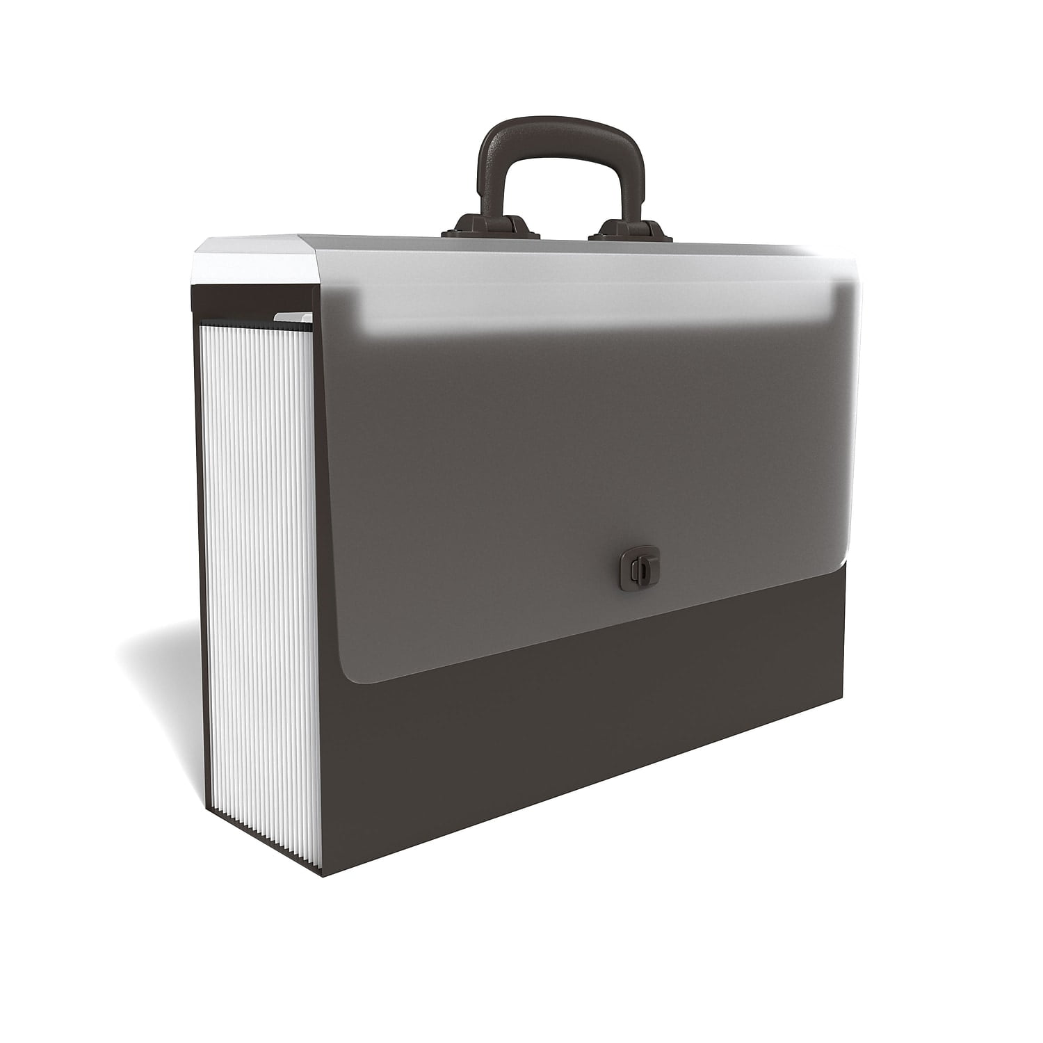 Staples TRU RED Plastic Accordion File 26-Pocket Legal Size Black  2/Pack ST45531/TR455VS