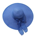 thumbnail image 1 of TRUBKH sunshade hats for women UV Protection with Band Travel Straw Cap Mesh Hat Beach Fishing Hat Beach Gardening Packable Straw Fedora Panama Hat Adjustable sun hats Boho Hat Blue One Size, 1 of 1