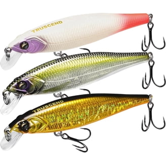 g loomis e6x walleye rod E6X  GLOOMIS-OCN