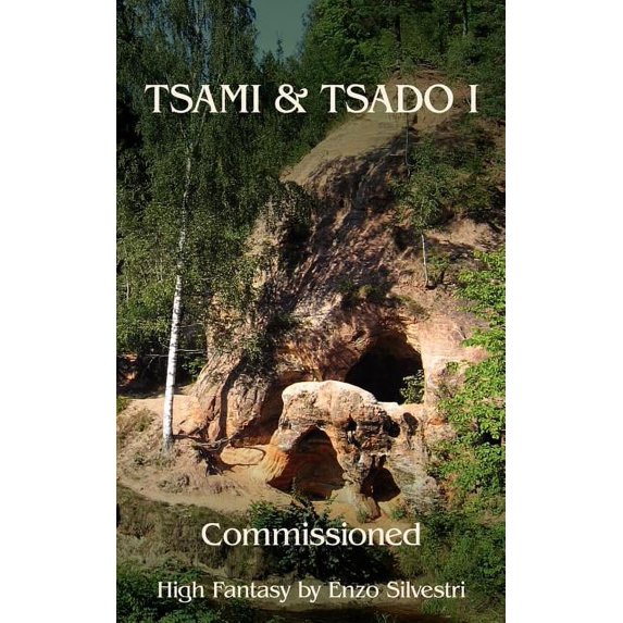 TSAMI and TSADO I: Commissioned