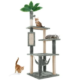 On2Pets Cat Shelves Wall Mounted Cat Trees Cat Furniture for Climbing Playing and Relaxing Set of 2 Indoor Cat Shelf Walmart