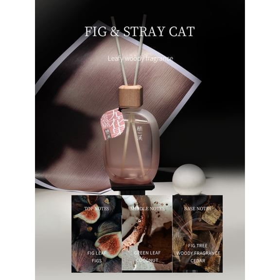 TSICY Vigour Series Bubbly Reed Diffuser-Home & Office Decor Aromatherapy Diffuser Oil Gift Set-Musk(3.71 Fluid Ounces)-Fig Tree, Woody Fragrance,Cedar (Fig & Stray cat)
