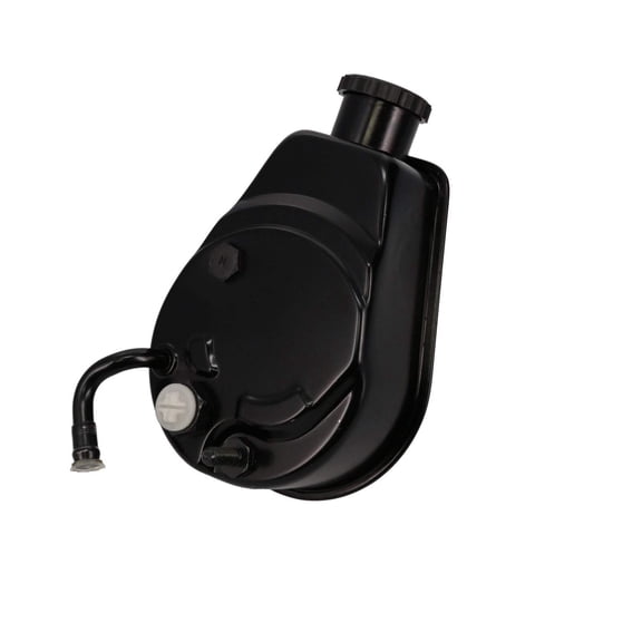 Saginaw P Series Power Steering Pump with Angled Fitting for GM - Black