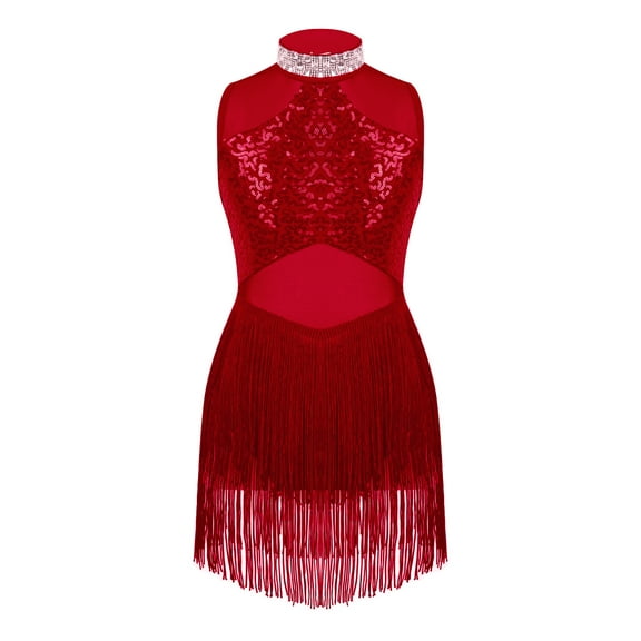 TSSOE Girls Tassel Latin Tango Dance Dress Modern Jazz Dancewear Sequins Gymnastic Leotard Dress Performance Costume Burgundy 10