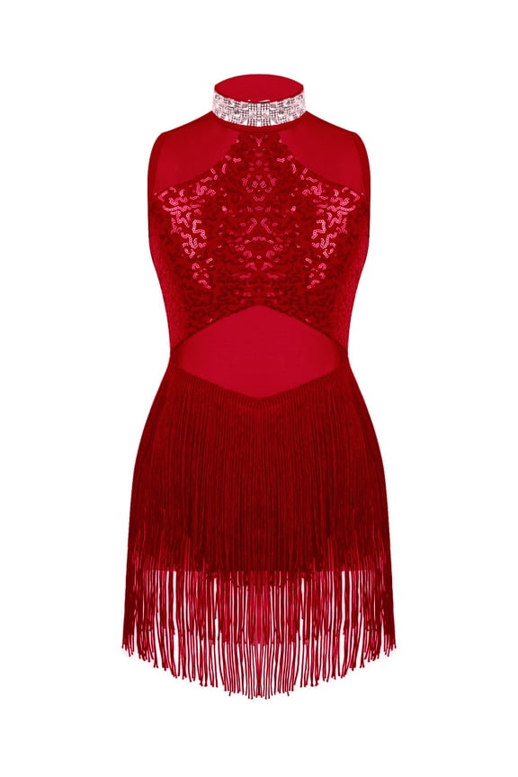 Girls Tassel Latin Tango Dance Dress Modern Jazz Dancewear Sequins Gymnastic Leotard Dress Performance Costume Burgundy 8