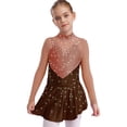 thumbnail image 1 of TSSOE Kids Girls Figure Skating Gymnastics Dance Dress Competition Performance Long Sleeve Mesh Patchwork Leotard Brown 14, 1 of 5