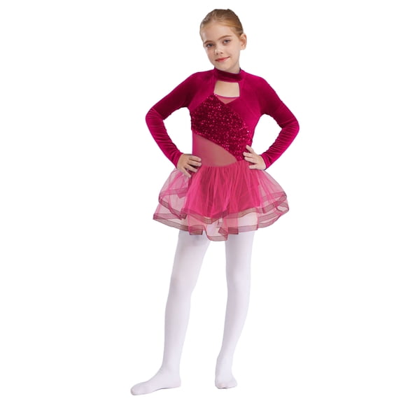 TSSOE Toddler Girls Sparkly Tutu Skirted Leotard Ballet Dance Dress Figure Skating Competition Hot Pink 10
