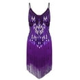 thumbnail image 1 of TSSOE Womens Shiny Sequins Spaghetti Straps Rhythm Latin Samba Rumba Tango Dance Dress Fringe Party Purple One_Size, 1 of 6